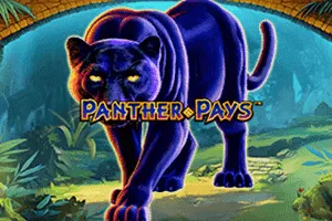 Playtech : Panther Pays - SUPERBET388